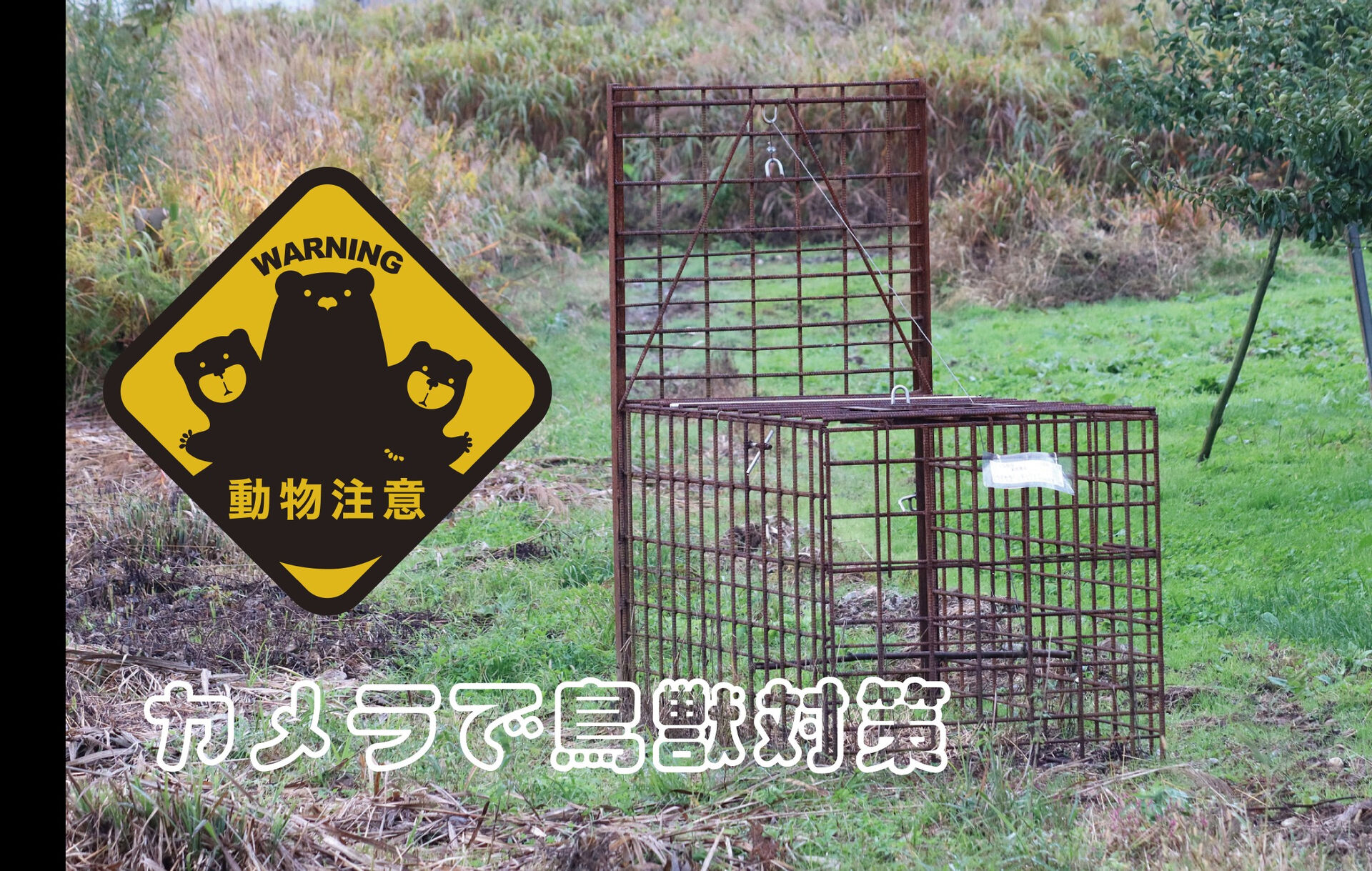 みなさんこんにちは、株式会社セキュリティです