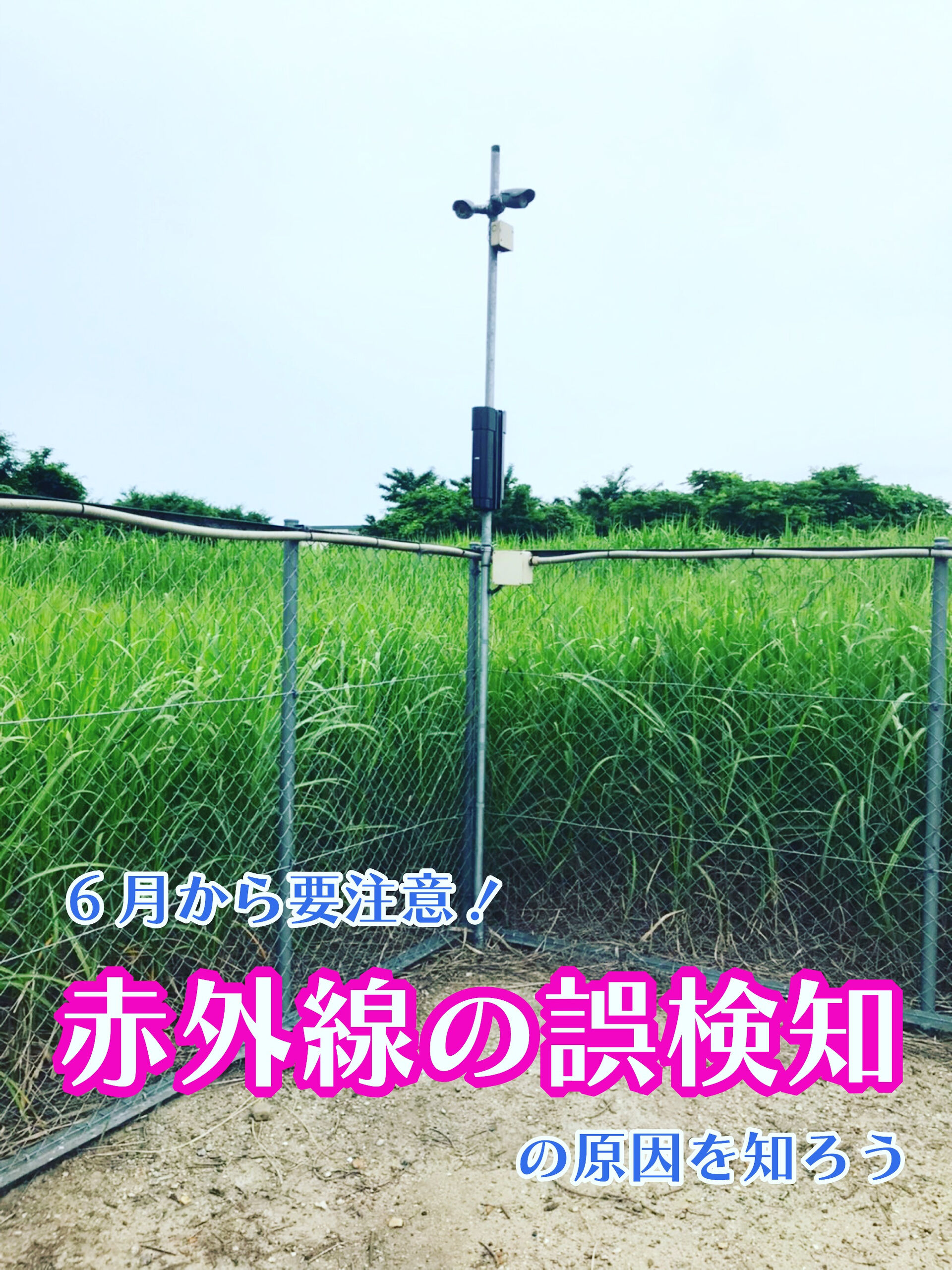 みなさんこんにちは、株式会社セキュリティです