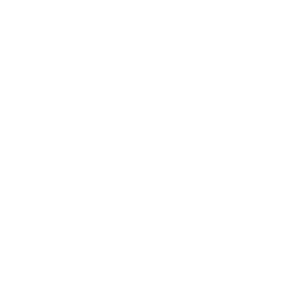 顔認証アイコン1